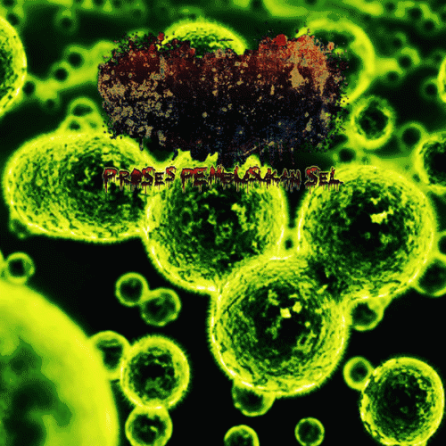 Blenncardichromodacryexgenitohaemgene : The Process of Cell Destruction